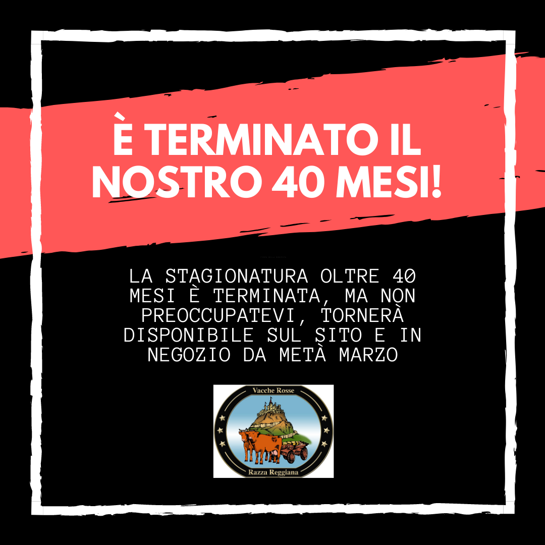 è terminato il nostro 40 mesi (1) termine 40 mesi